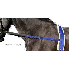 Lunging & Training (34)