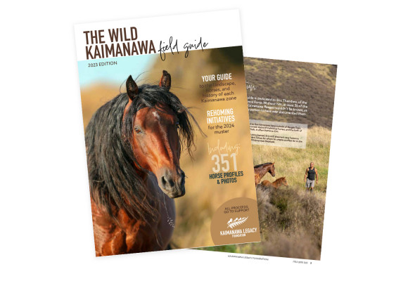 Wild Kaimanawa Field Guide