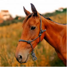 Enzo Dakota Rope Halter
