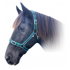 Enzo D.lux Padded Halter