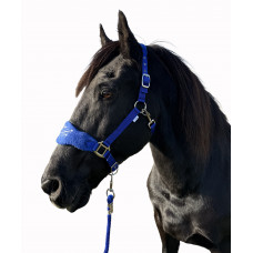 Halters (58)