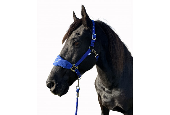 Enzo Ergo Halter w/Lead Set