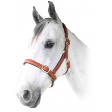 Enzo Euro Leather Halter