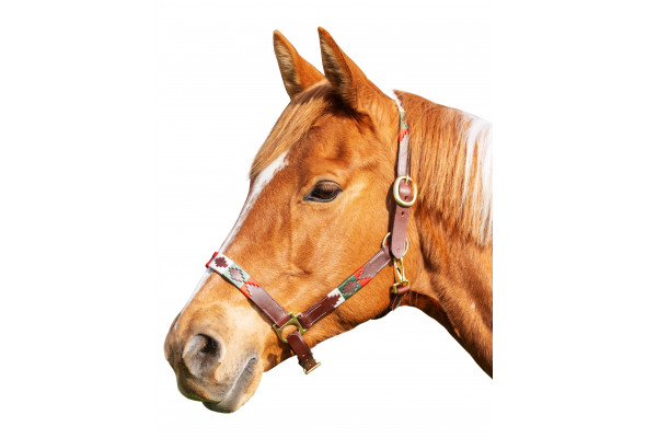 Enzo Best Polo Halter