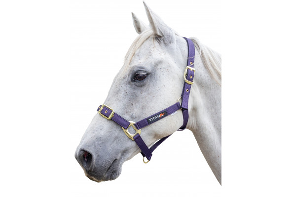 EnzoPro TitanFlex Halter