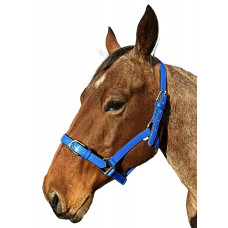 Enzo PVC Halter