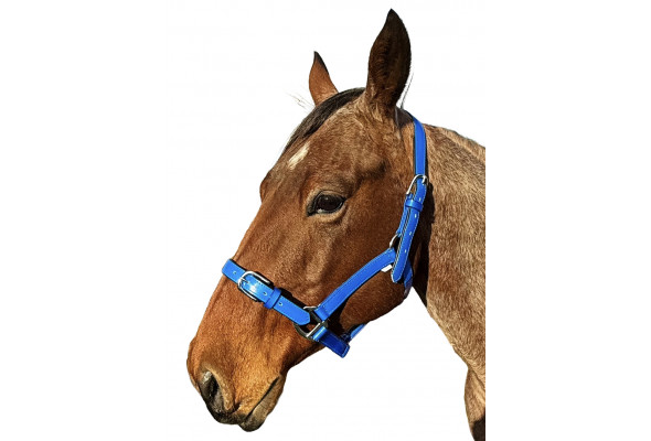 Enzo PVC Halter