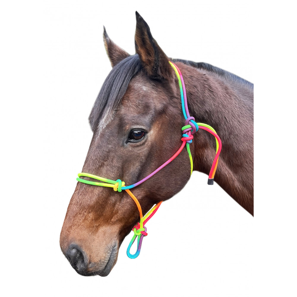 Enzo Rainbow Nylon Rope Halter