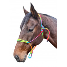 Enzo Rainbow Nylon Rope Halter