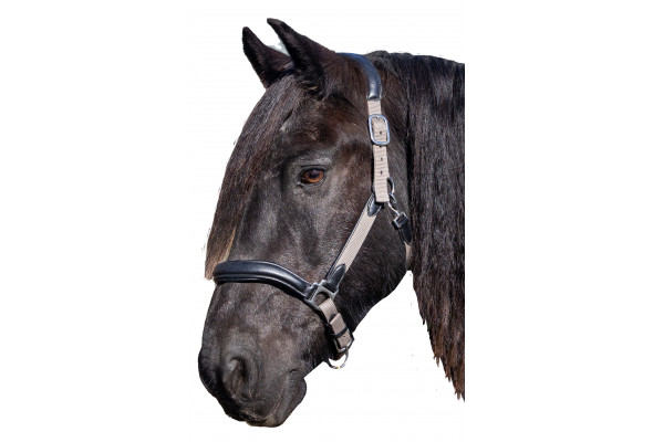 Titanflex Duo Halter Titanflex Duo Halter