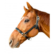 Stride Halter