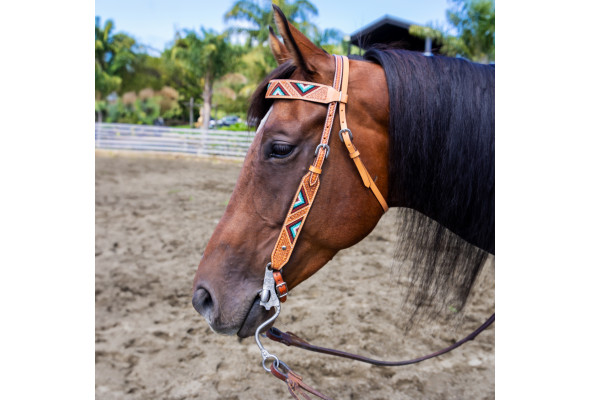 Origin Arapaho Headstall