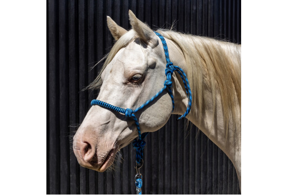 Origin Kaye RopeHalter Braided