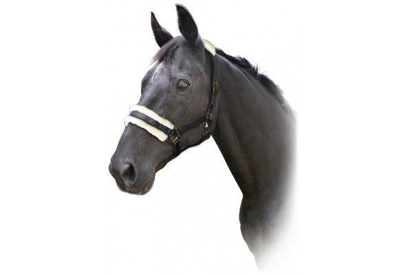 Prima Deluxe Fleece Halter