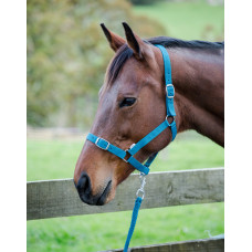 Prima Halter & Lead Set