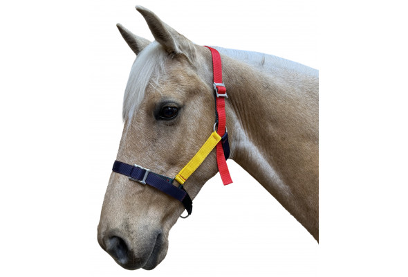 Prima MultiHalter Buckle wTongue