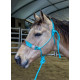 Origin Tokala Halter w/Lead