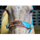 Origin Tokala Halter w/Lead