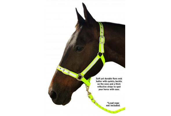 Prima Reflective Halter