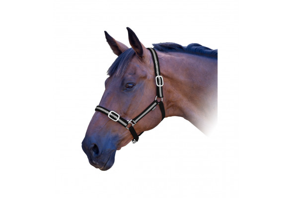 Prima ReflectiveRibbon Halter