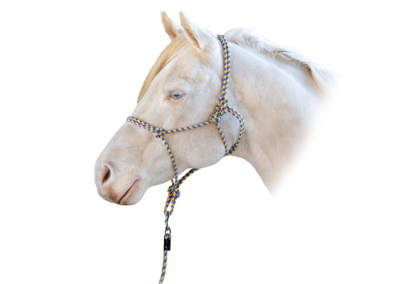 Enzo MultiColour Rope Halter wLead