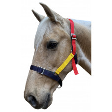 Enzo Multi Color Rope Halter w/Lead