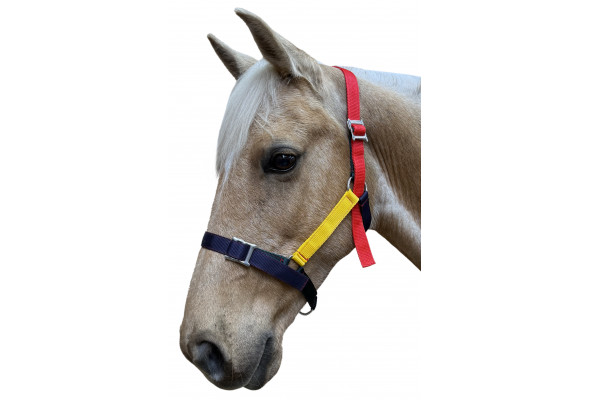 Enzo MultiColour Rope Halter wLead