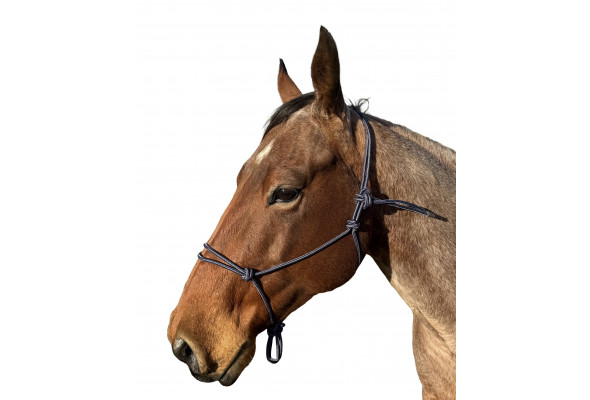 Enzo Rope Halter 6mm