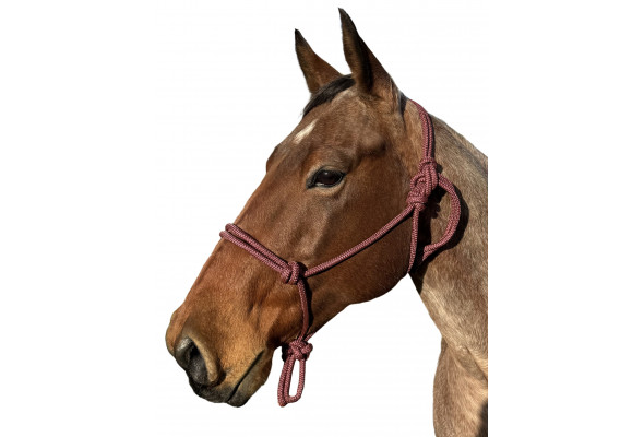 Enzo Rope Halter 8mm
