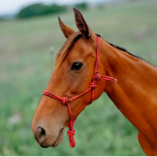 Enzo Wave Rope Halter