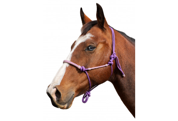 Enzo Tucson Rope Halter