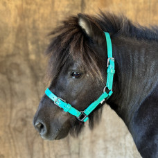 Stride PVC Mini Halter