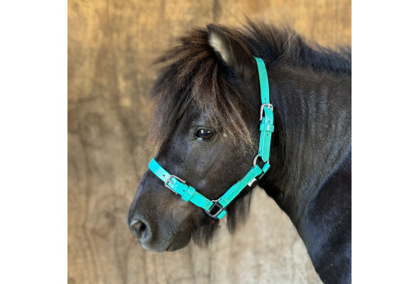Stride PVC Mini Halter