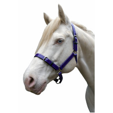 Stride PVC Halter