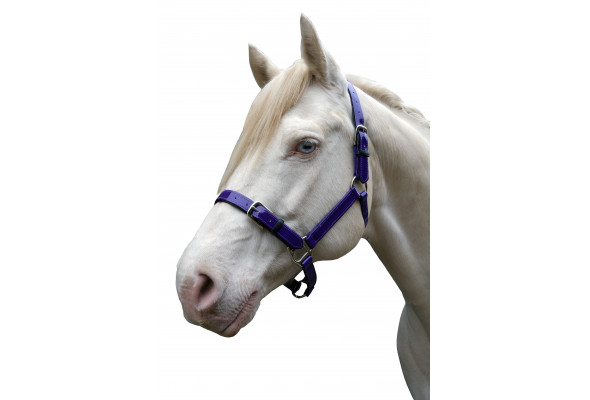 Stride PVC Halter