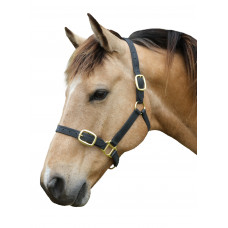 Stride PVC Premium Halter