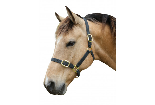 Stride PVC Premium Halter