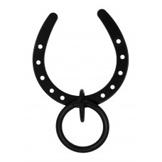 Horseshoe Cross Tie with Ring