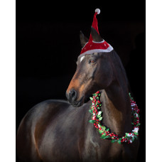 Santa Christmas Hat