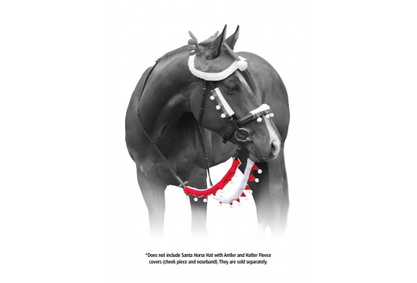 Santa Horse Rein Cover