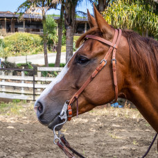 Origin Work Headstall