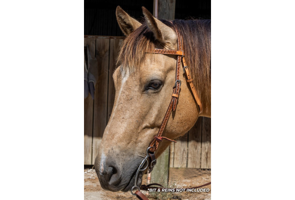Origin Mojave Browband Headstall