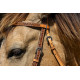 Origin Mojave Browband Headstall