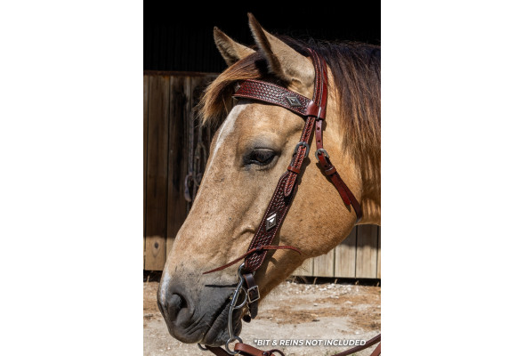 Origin Sierra Browband Headstall