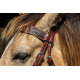 Origin Sierra Browband Headstall
