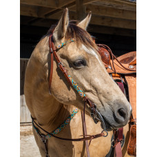 Origin Sonoran Browband Headstall