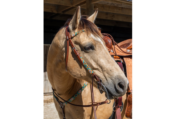 Origin Sonoran Browband Headstall