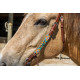 Origin Sonoran Browband Headstall