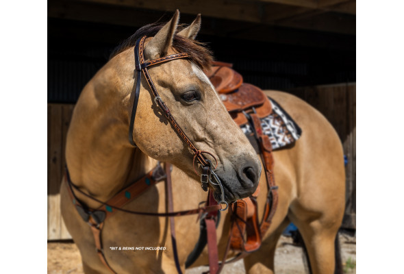 Origin Utah Browband Headstall