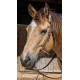 Origin Utah Browband Headstall